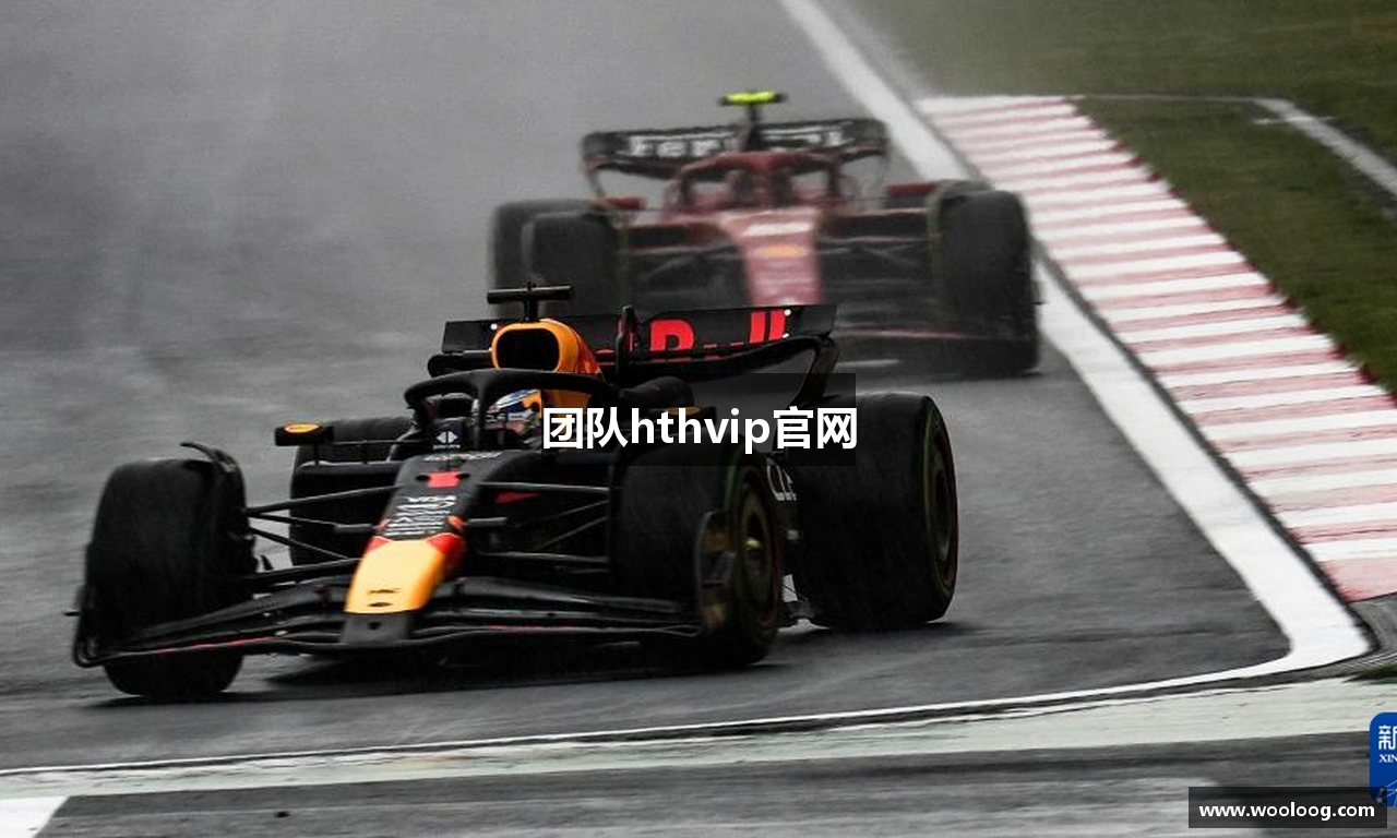 团队hthvip官网